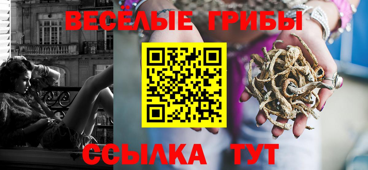 Галлюциногенные грибы GOLDEN TEACHER Карпинск